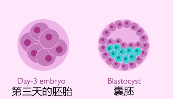 瑜伽