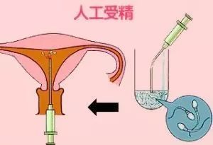 产后妈妈