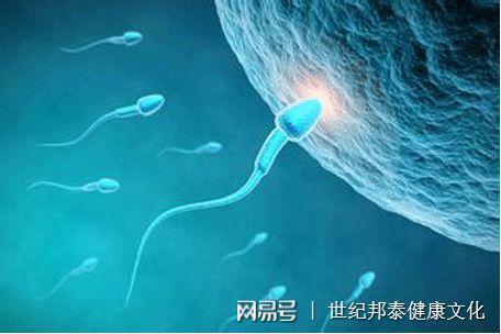纯母乳喂养