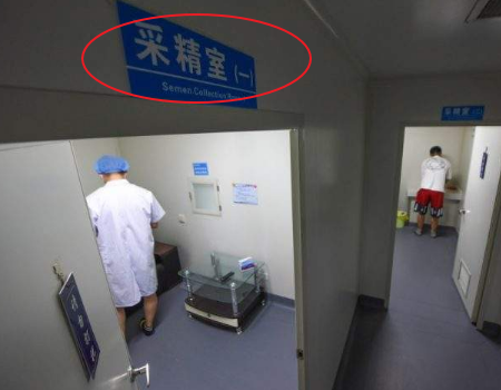 早孕检查