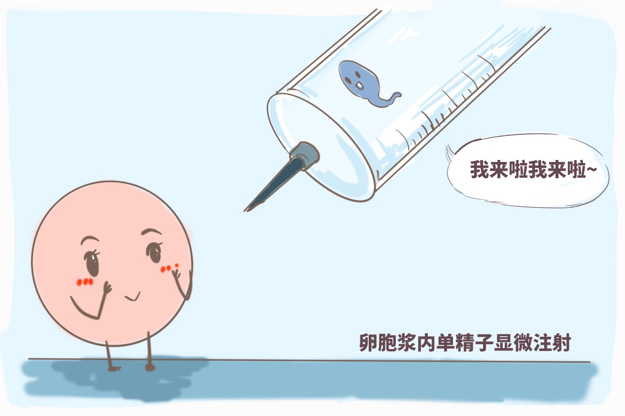 小宝贝