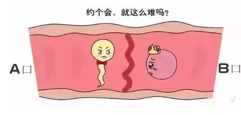 管爸爸叫老爹