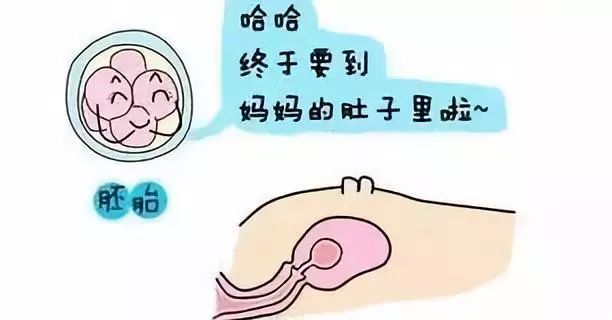 瑜伽