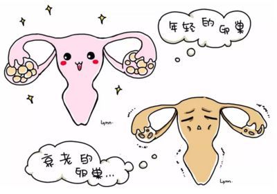 第二次人流