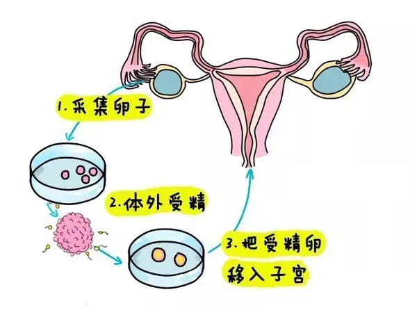 精确知道受孕日期