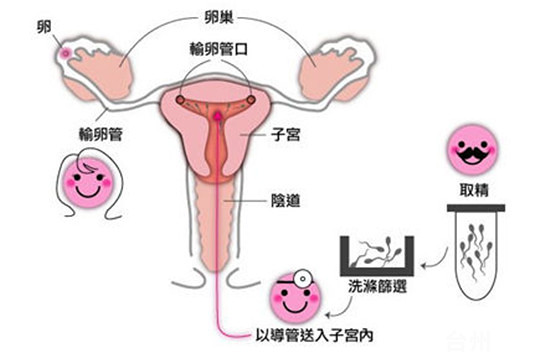 精美孕妇照