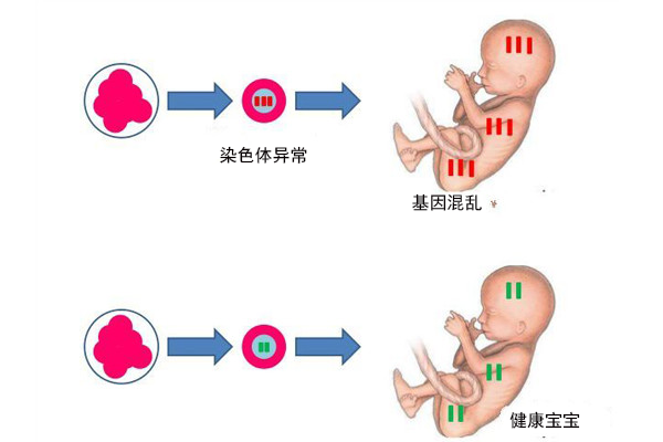 纯母乳喂养