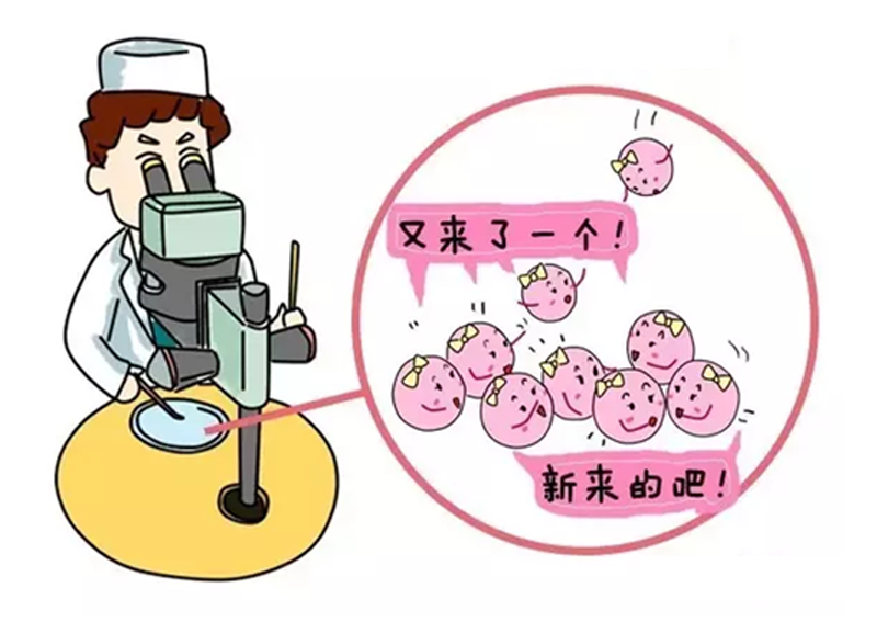 新生孙子宝宝