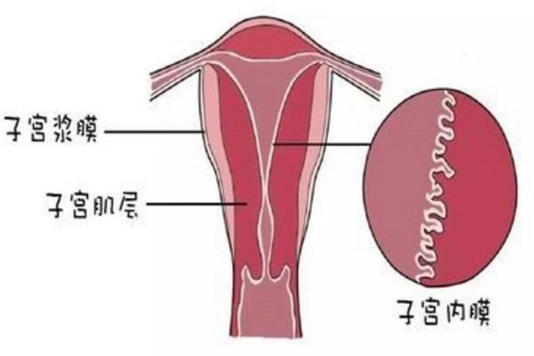 签中六甲