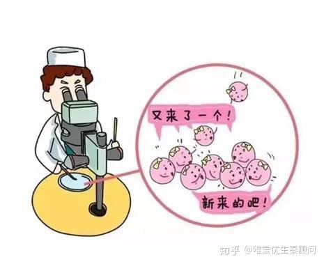 育儿书籍推荐必看的3-6岁