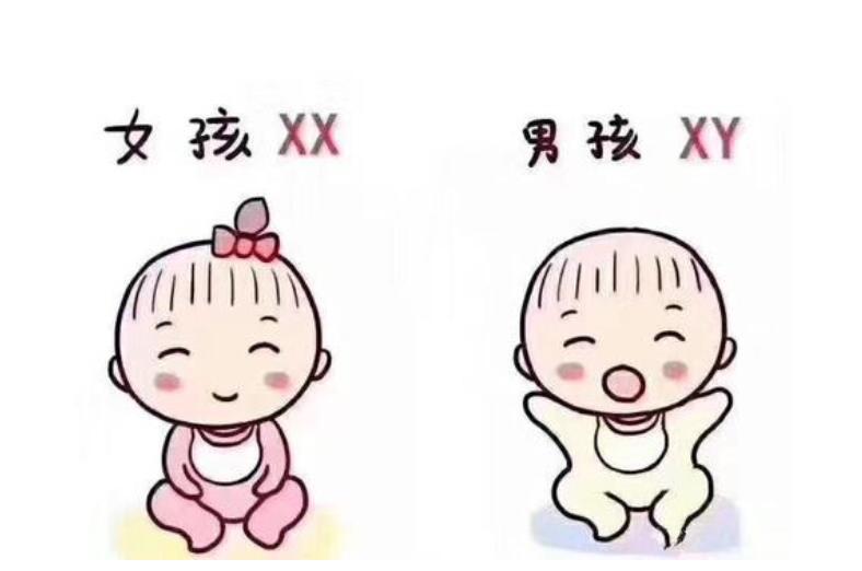 美女孕妇