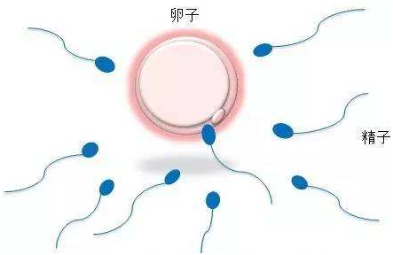美式黑咖啡