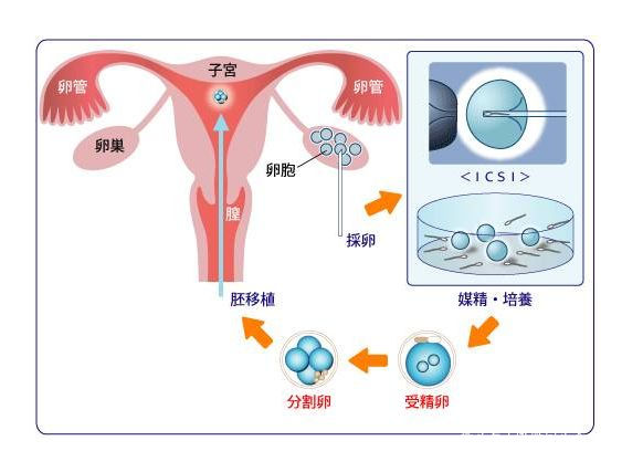育儿教育
