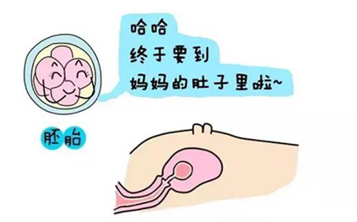 美格恩早早孕试纸
