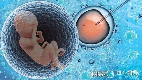 羊羔子