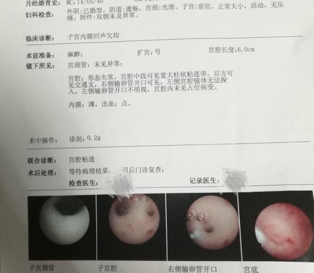 育儿书籍