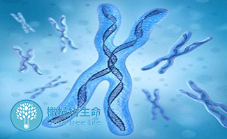 育儿名句正能量