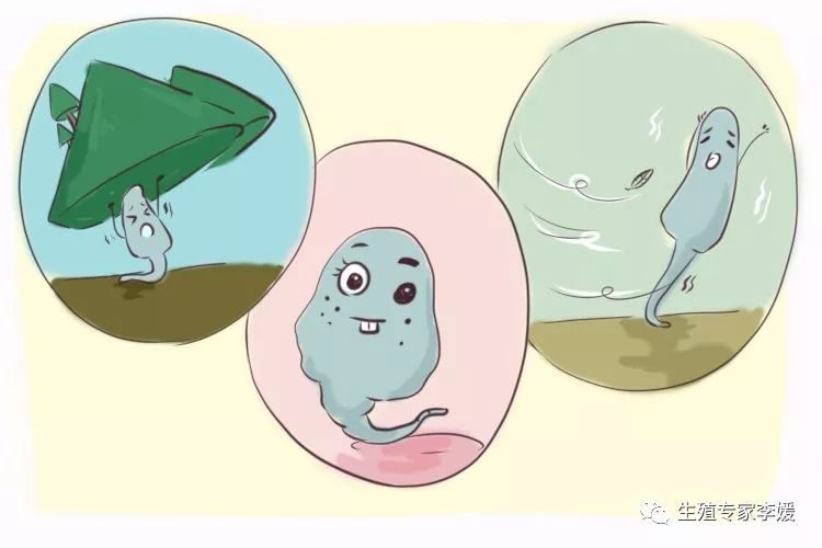 老公太厉害了一个月打了2次胎
