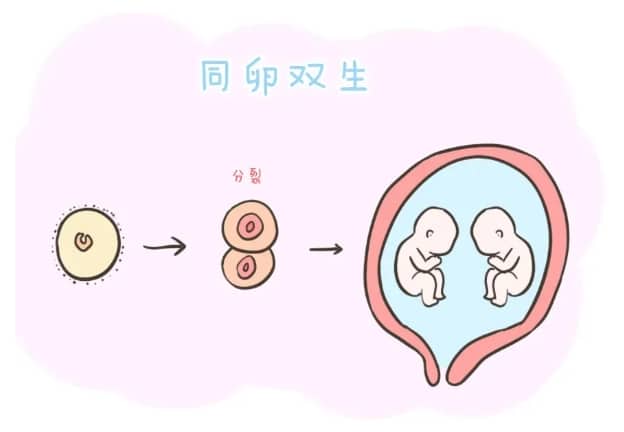 育儿书单